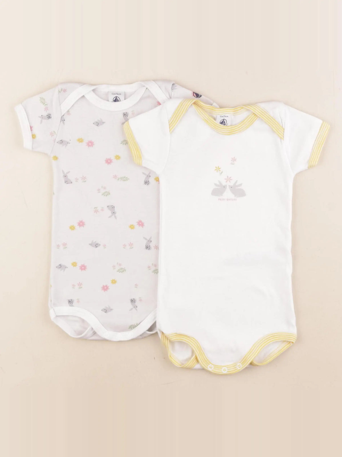 Petit Bateau - lot de 2 bodies en coton multicolore - 12 mois