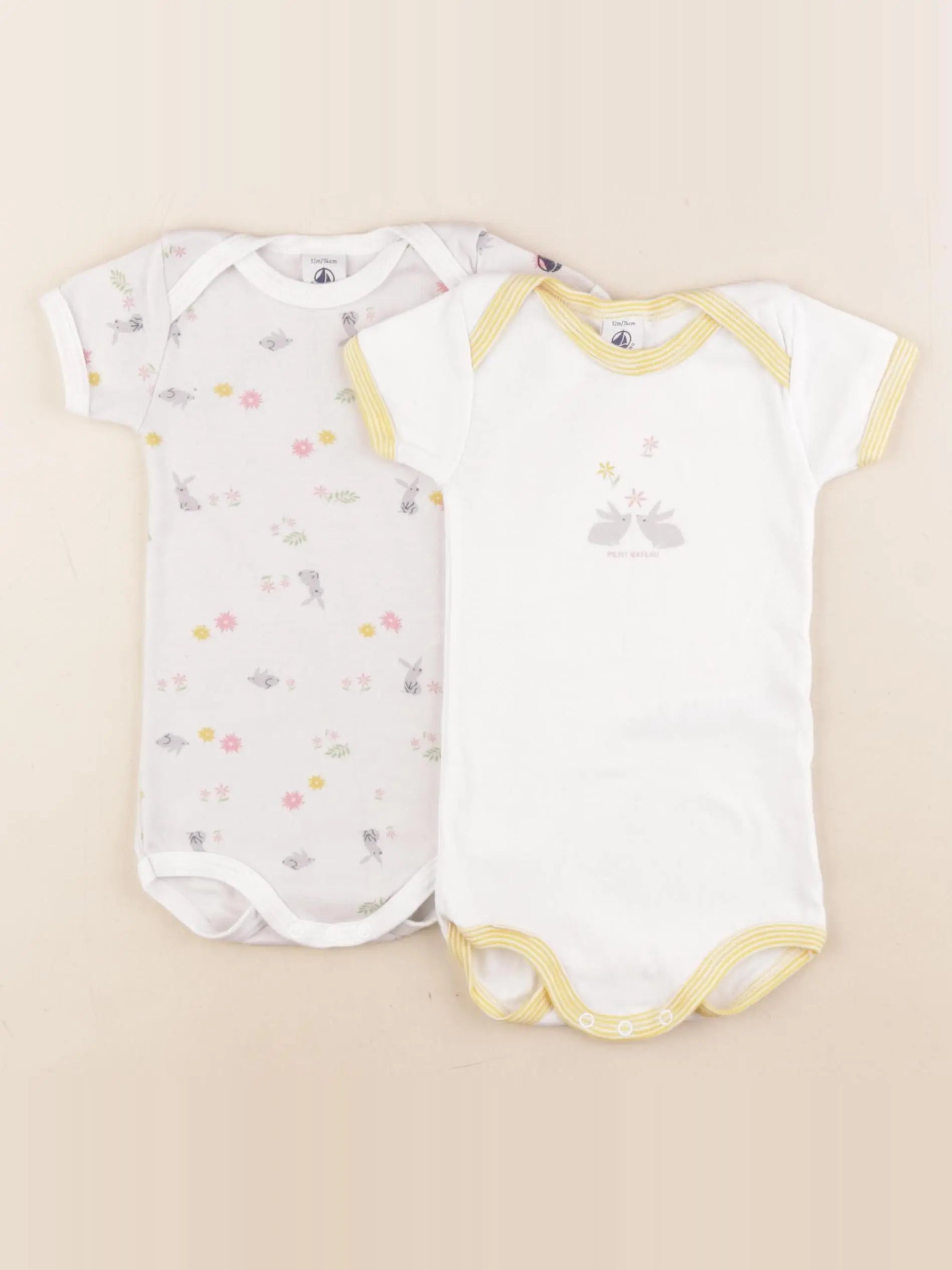 Petit Bateau - lot de 2 bodies en coton multicolore - 12 mois