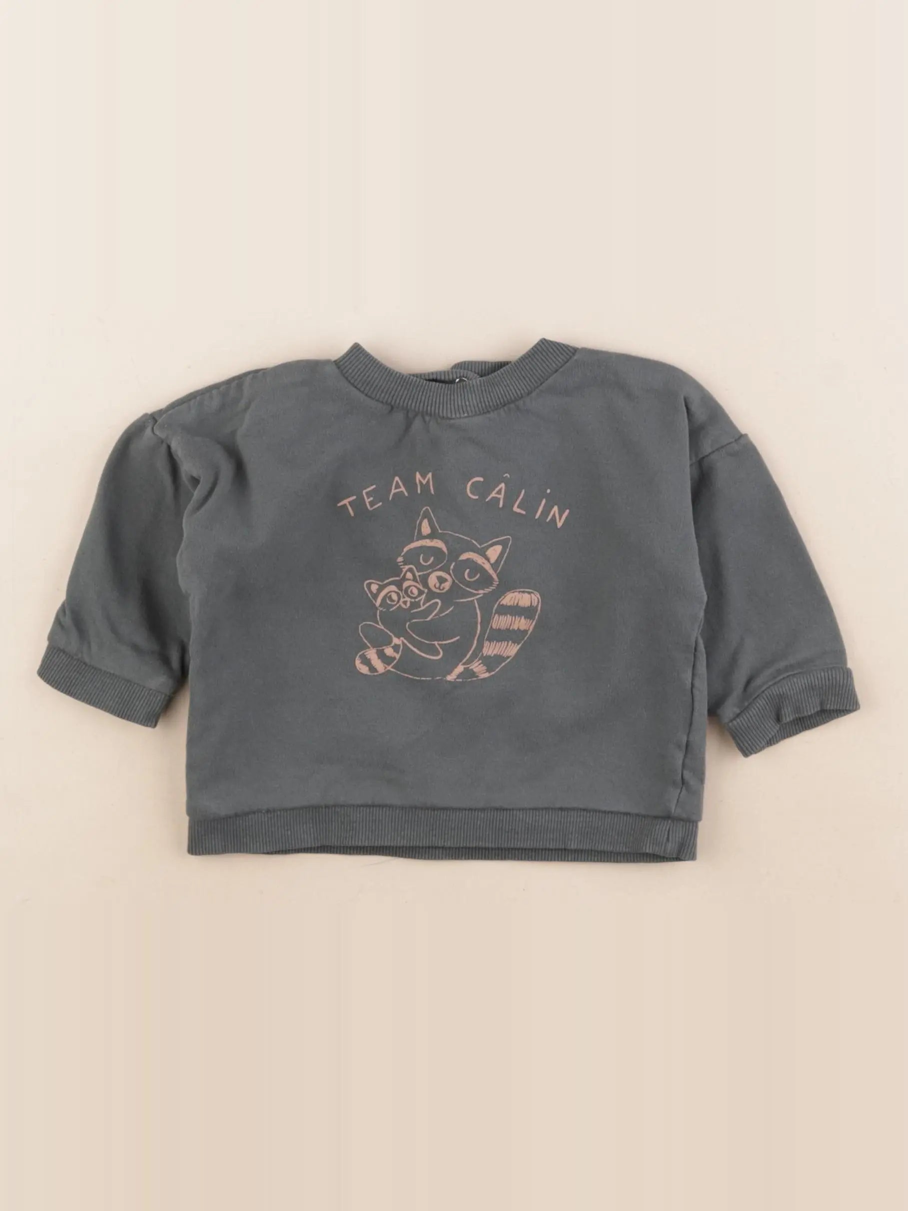 Vertbaudet - sweat vert - 9 mois