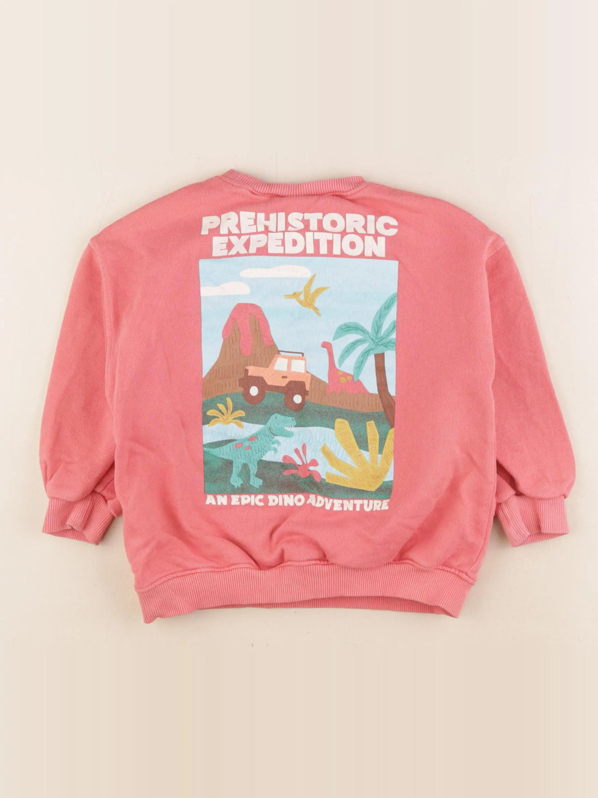 Zara - sweat imprimé au dos rose - 3 ans