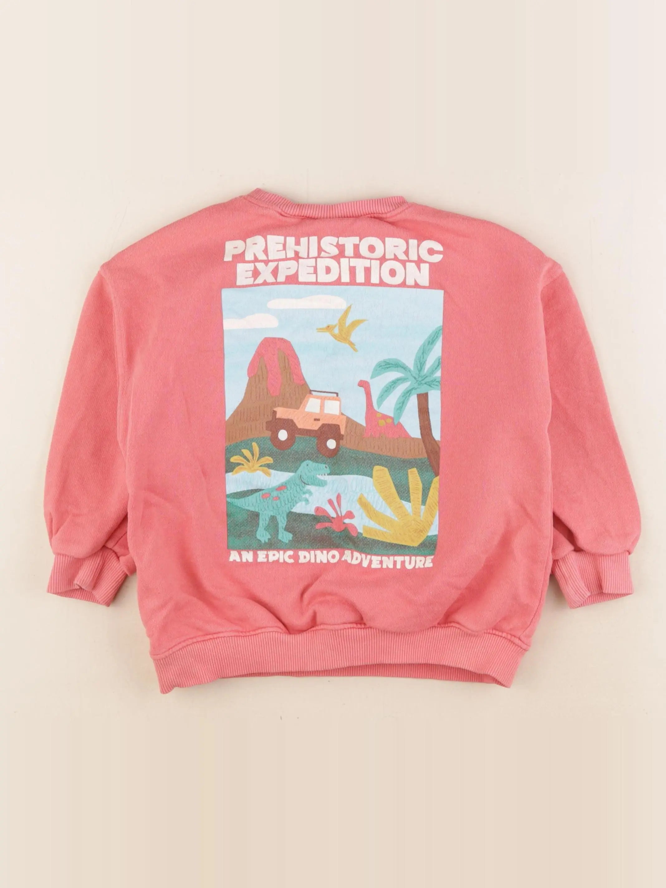 Zara - sweat imprimé au dos rose - 3 ans