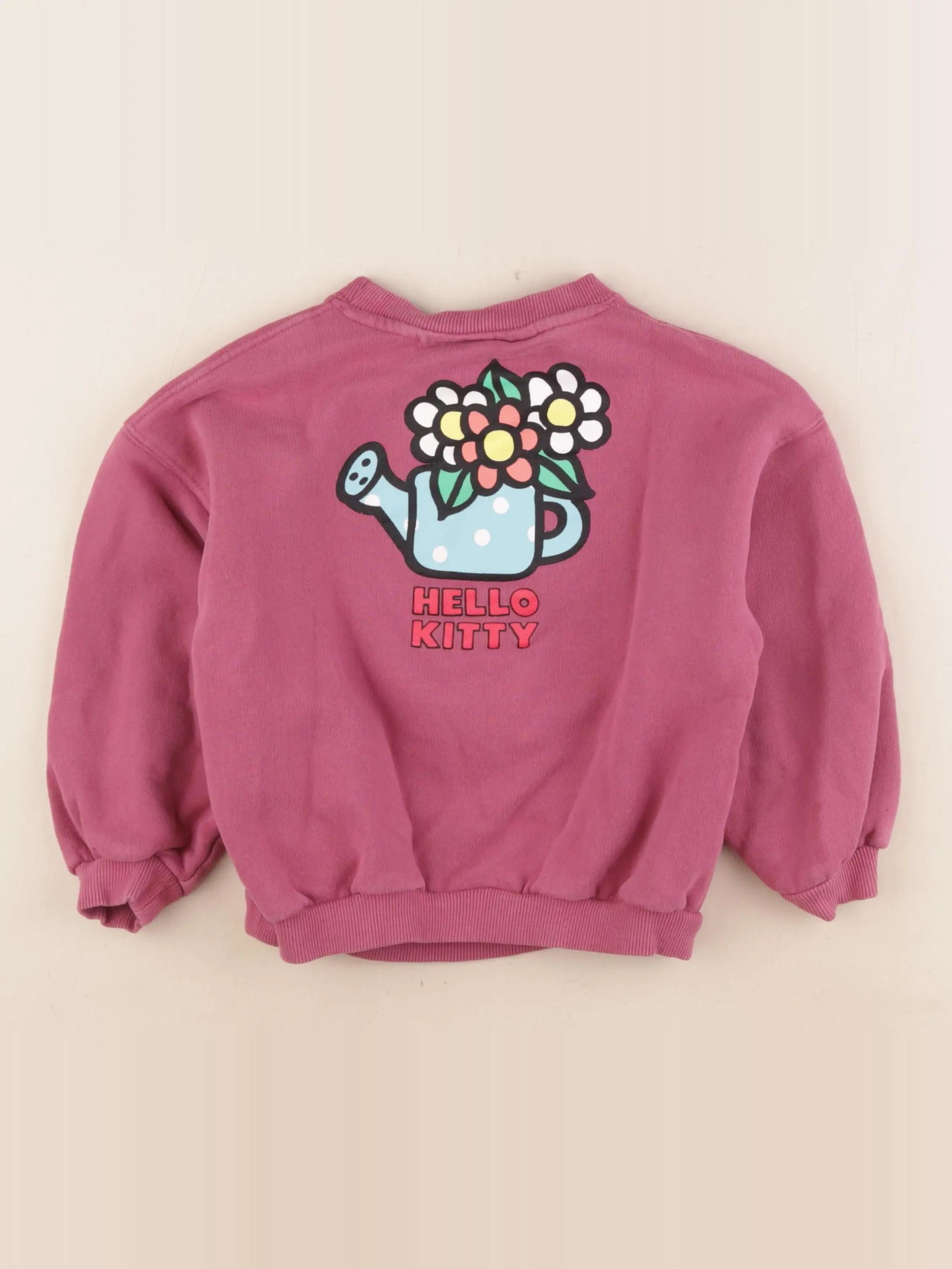 Zara - sweat imprimé au dos rose - 5 ans