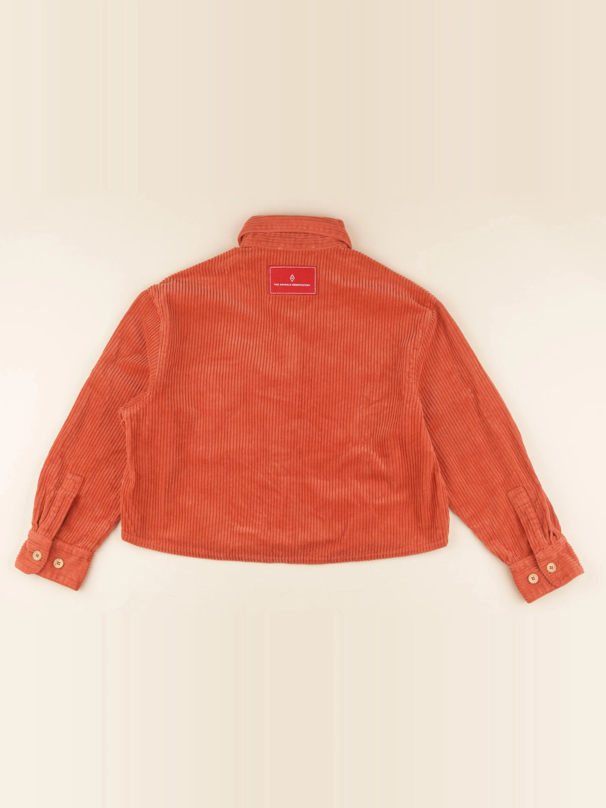Veste rouge