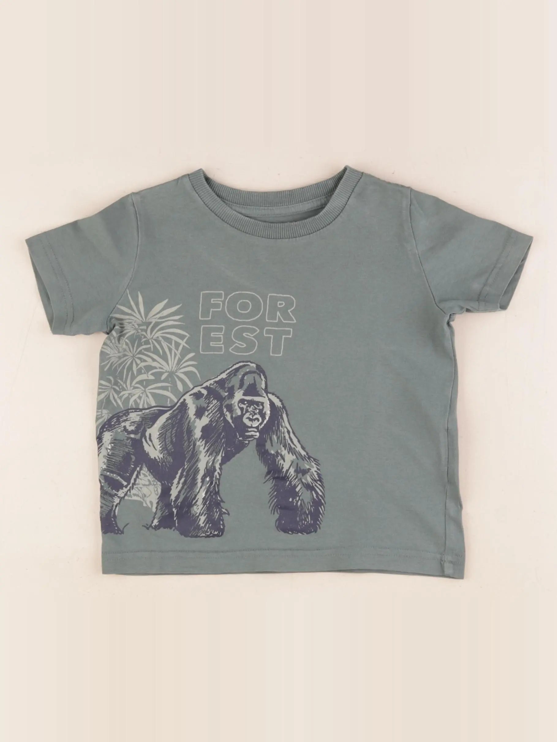 Vertbaudet - tee-shirt vert - 2 ans