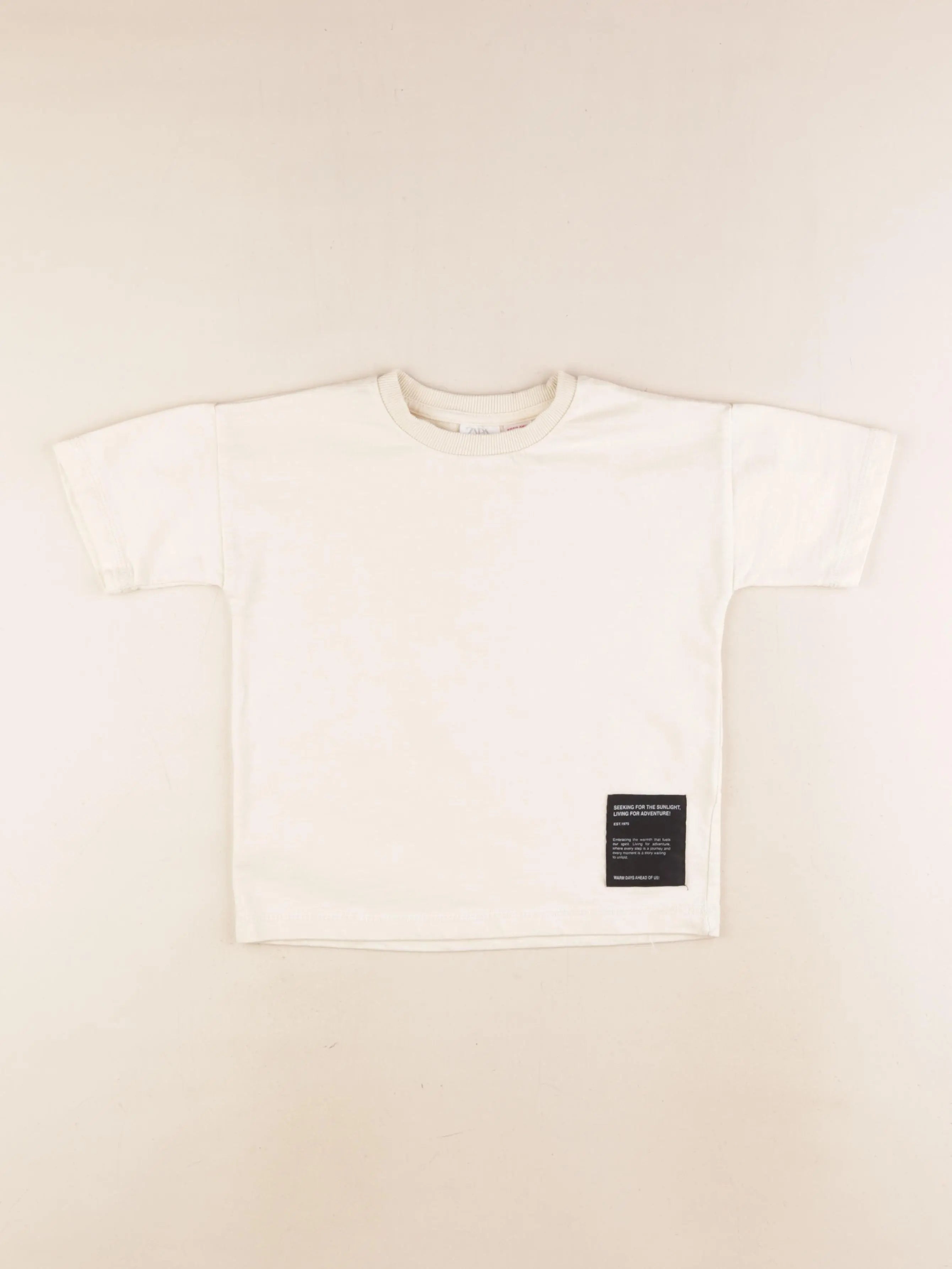 Zara - tee-shirt beige - 4 ans