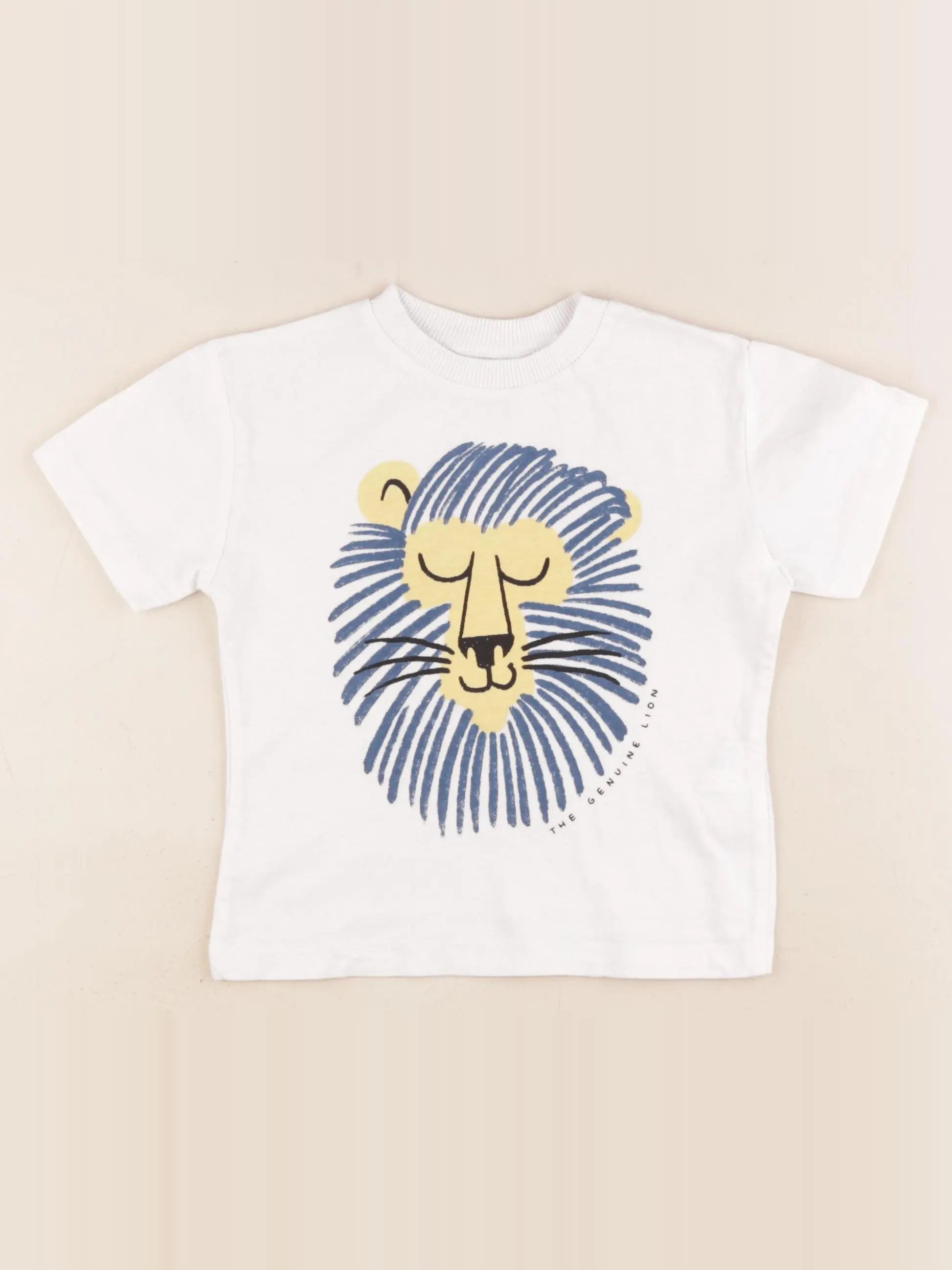 Zara - tee-shirt blanc, bleu - 12/18 mois