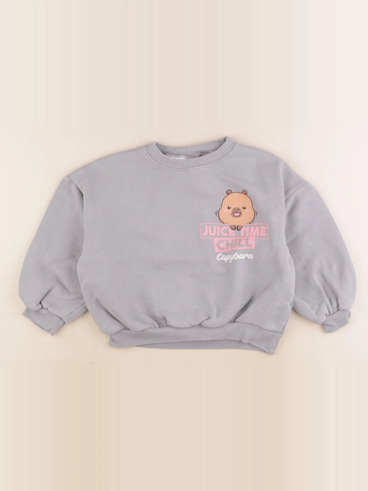 Zara - sweat imprimé au dos gris - 5 ans