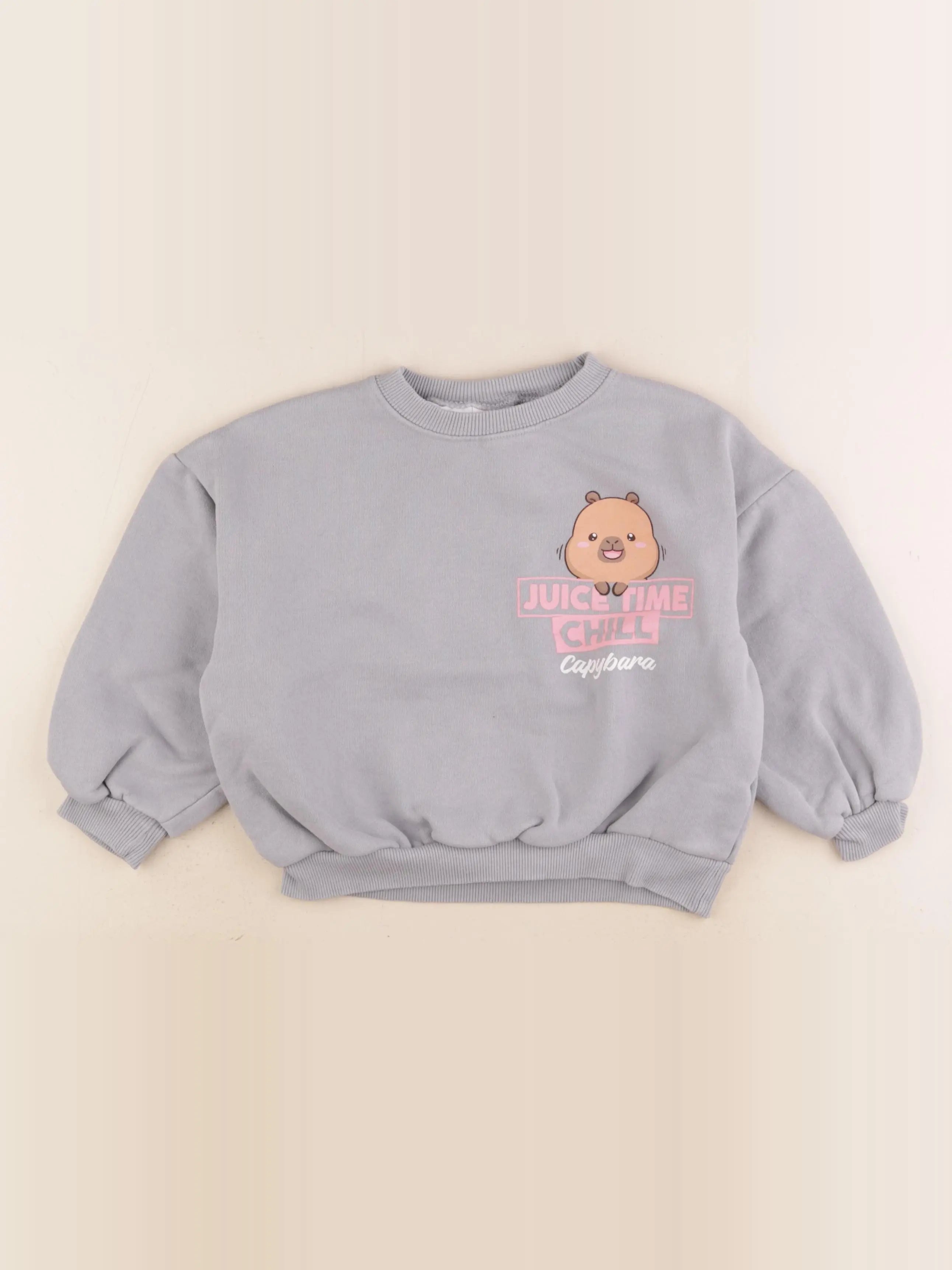 Zara - sweat imprimé au dos gris - 5 ans