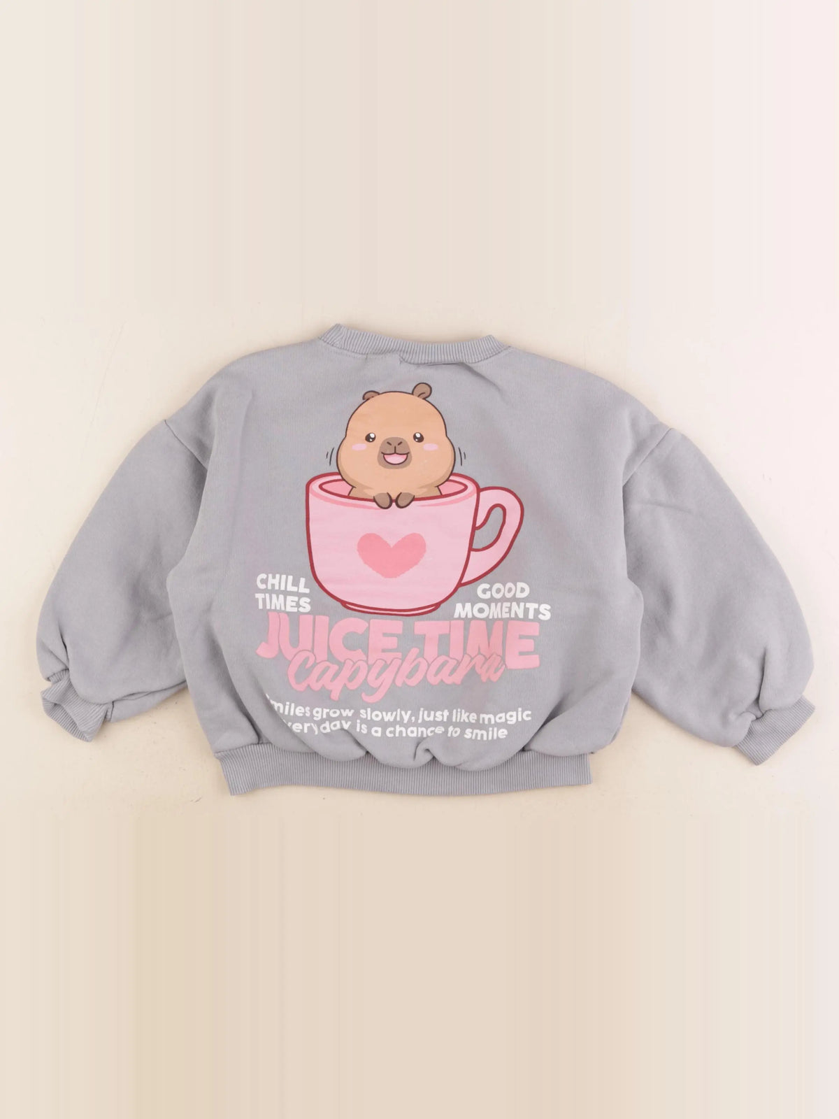 Zara - sweat imprimé au dos gris - 5 ans