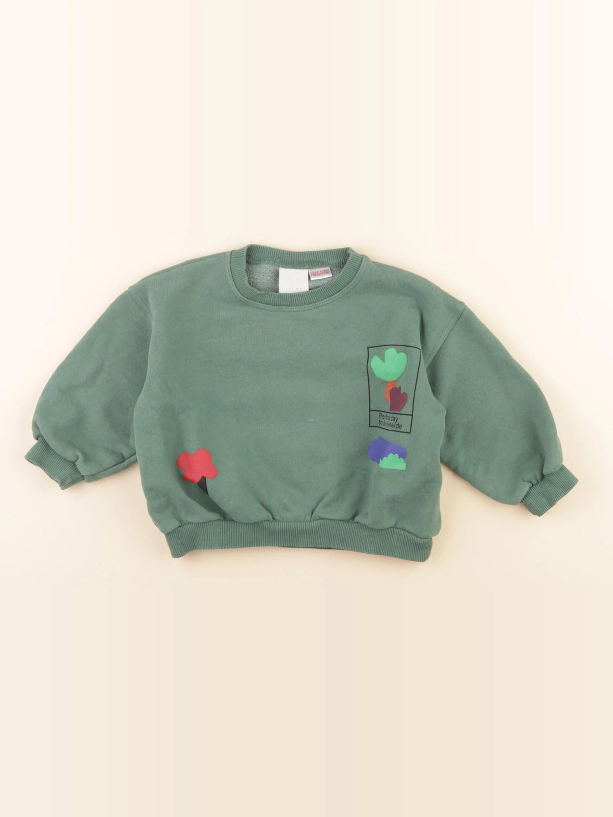 Zara - sweat imprimé au dos vert - 2 ans
