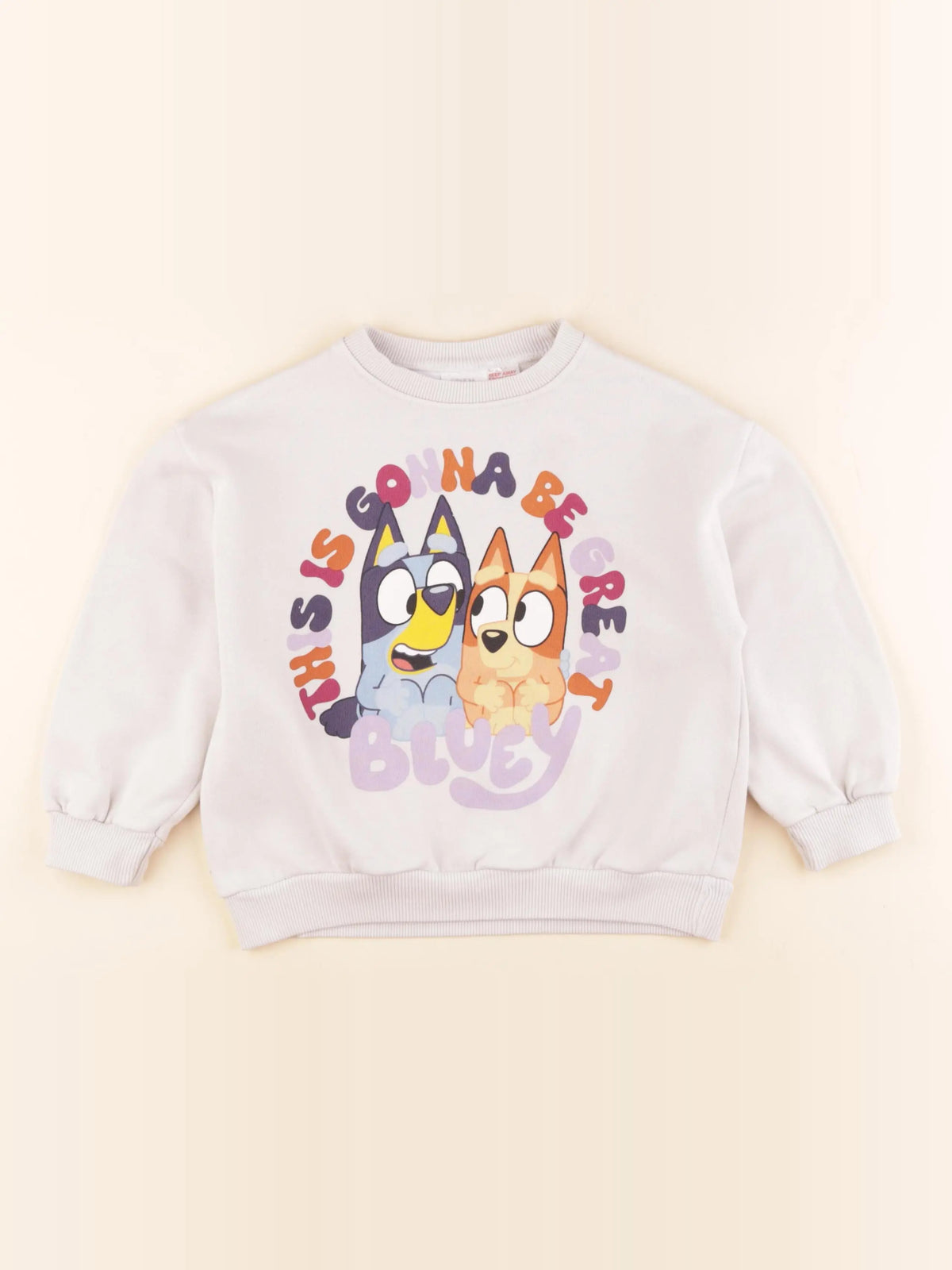 Zara - sweat imprimé au dos multicolore - 5 ans