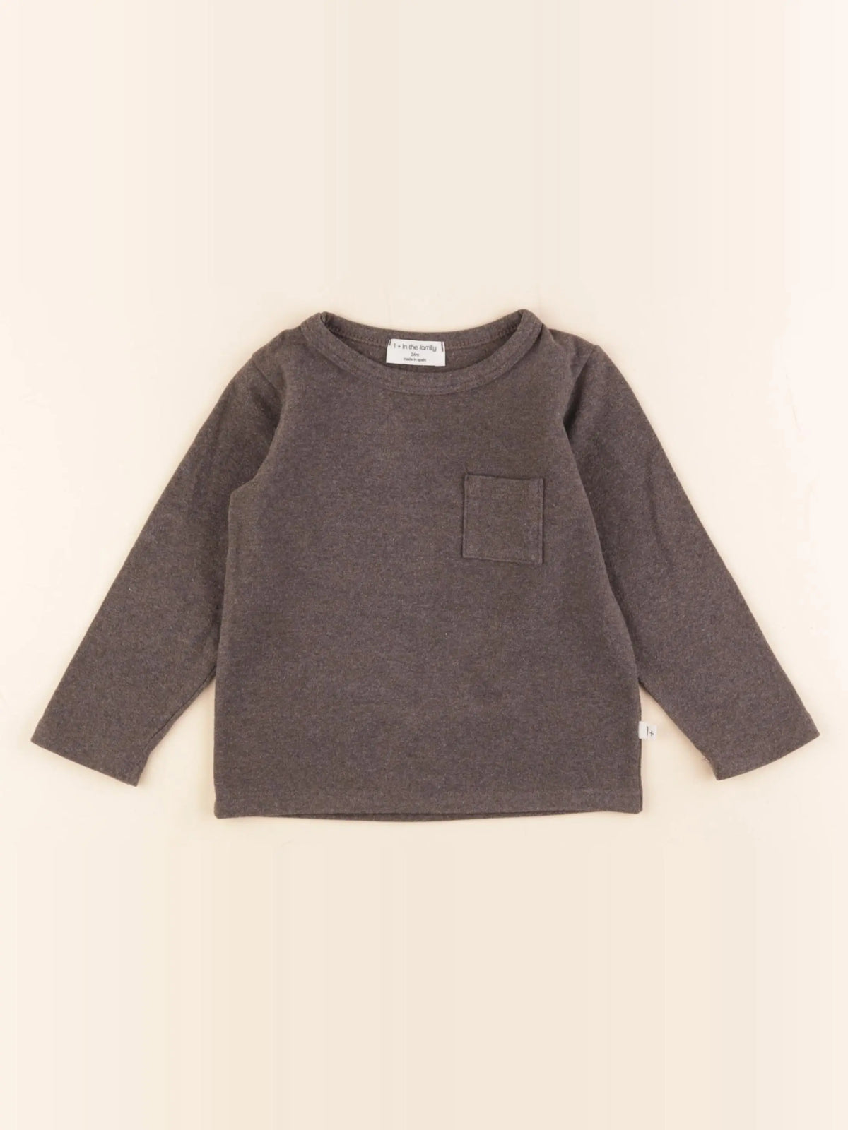 1+ In the family - tee-shirt gris - 24 mois