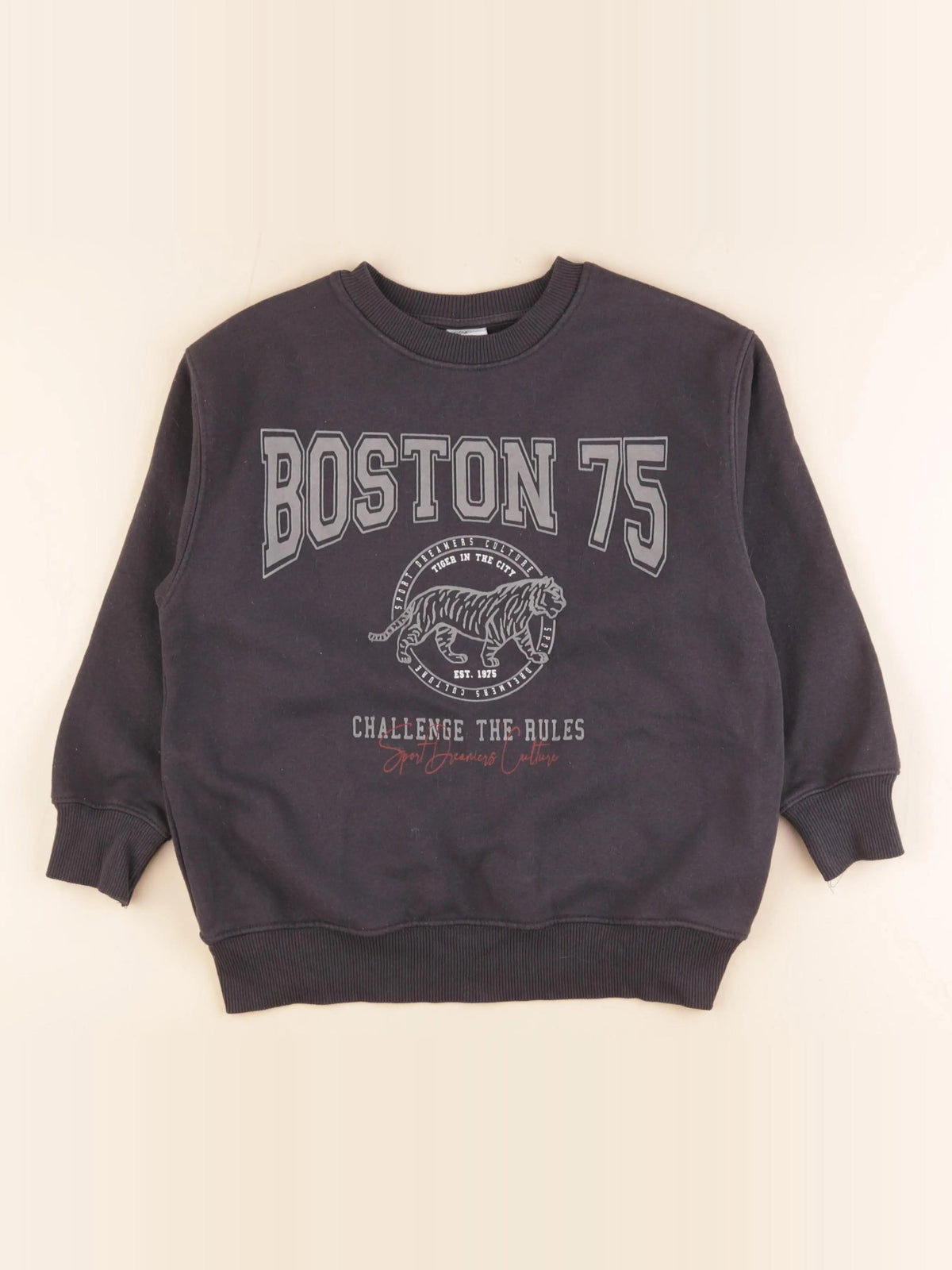 Zara - sweat gris - 9 ans