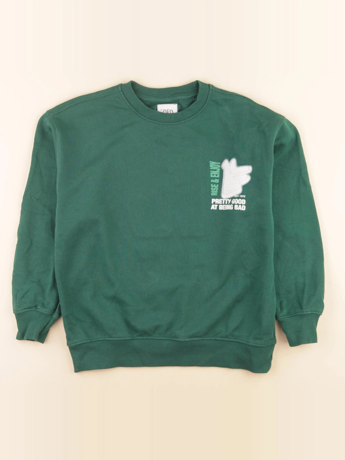 Zara - sweat imprimé au dos vert - 9/10 ans