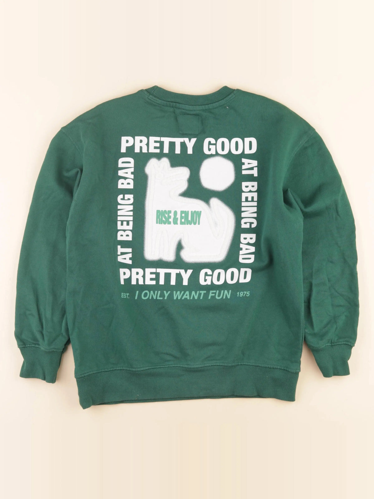 Zara - sweat imprimé au dos vert - 9/10 ans