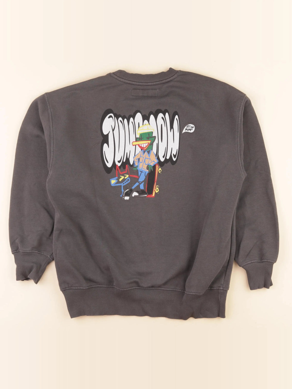 Zara - sweat imprimé au dos gris - 9/10 ans