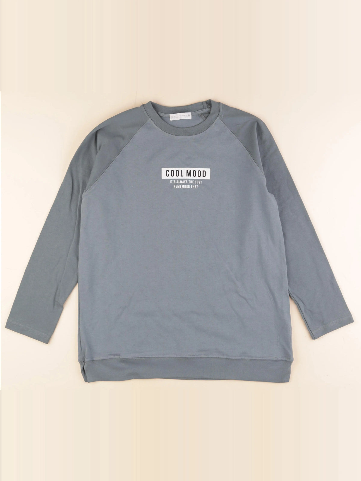 Zara - tee-shirt bleu - 13/14 ans
