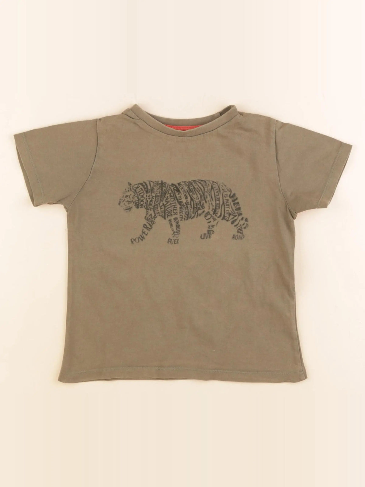 Storytelling - tee-shirt vert - 5 ans