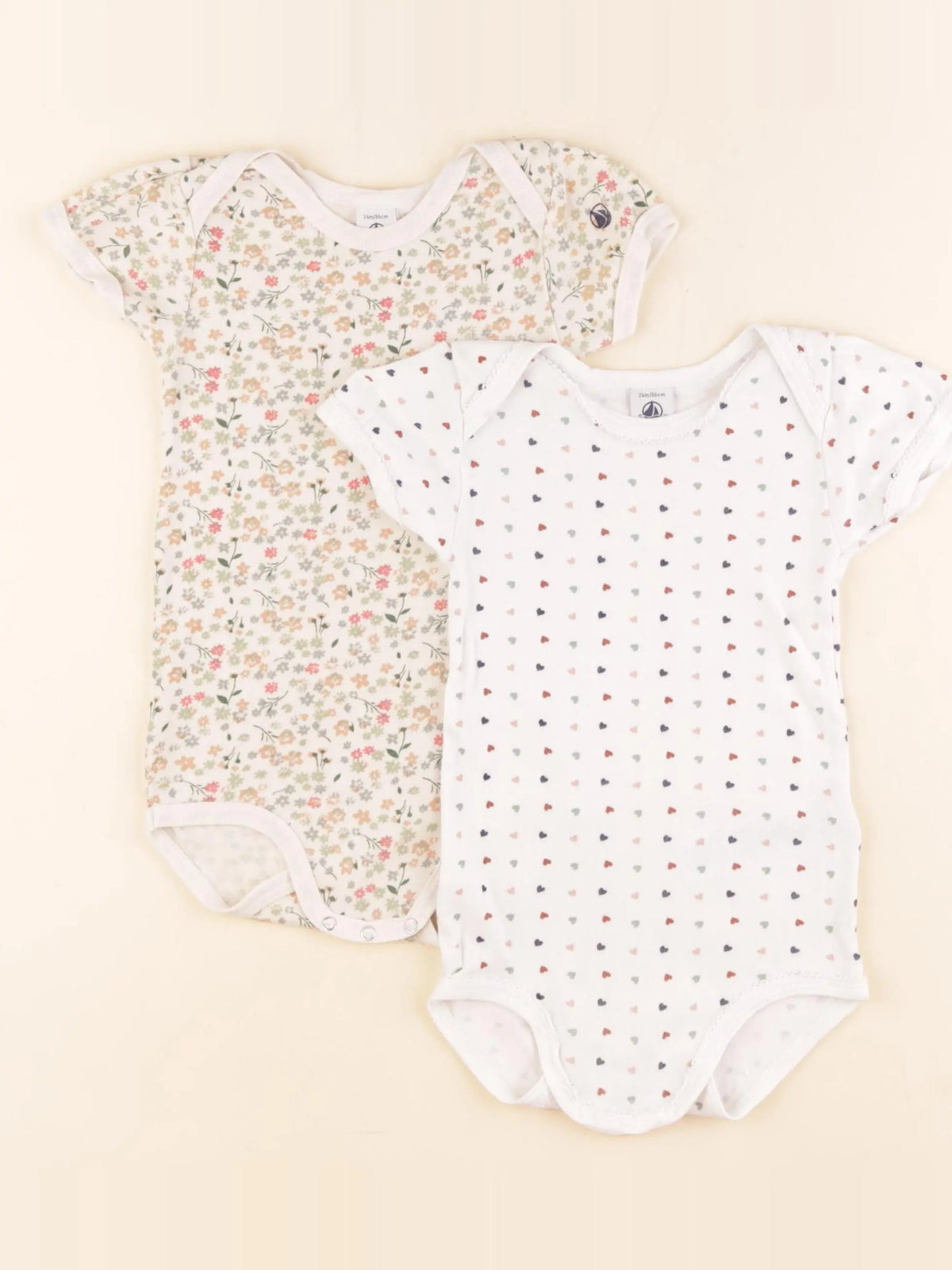 Petit Bateau - lot de 2 bodies en coton multicolore - 24 mois