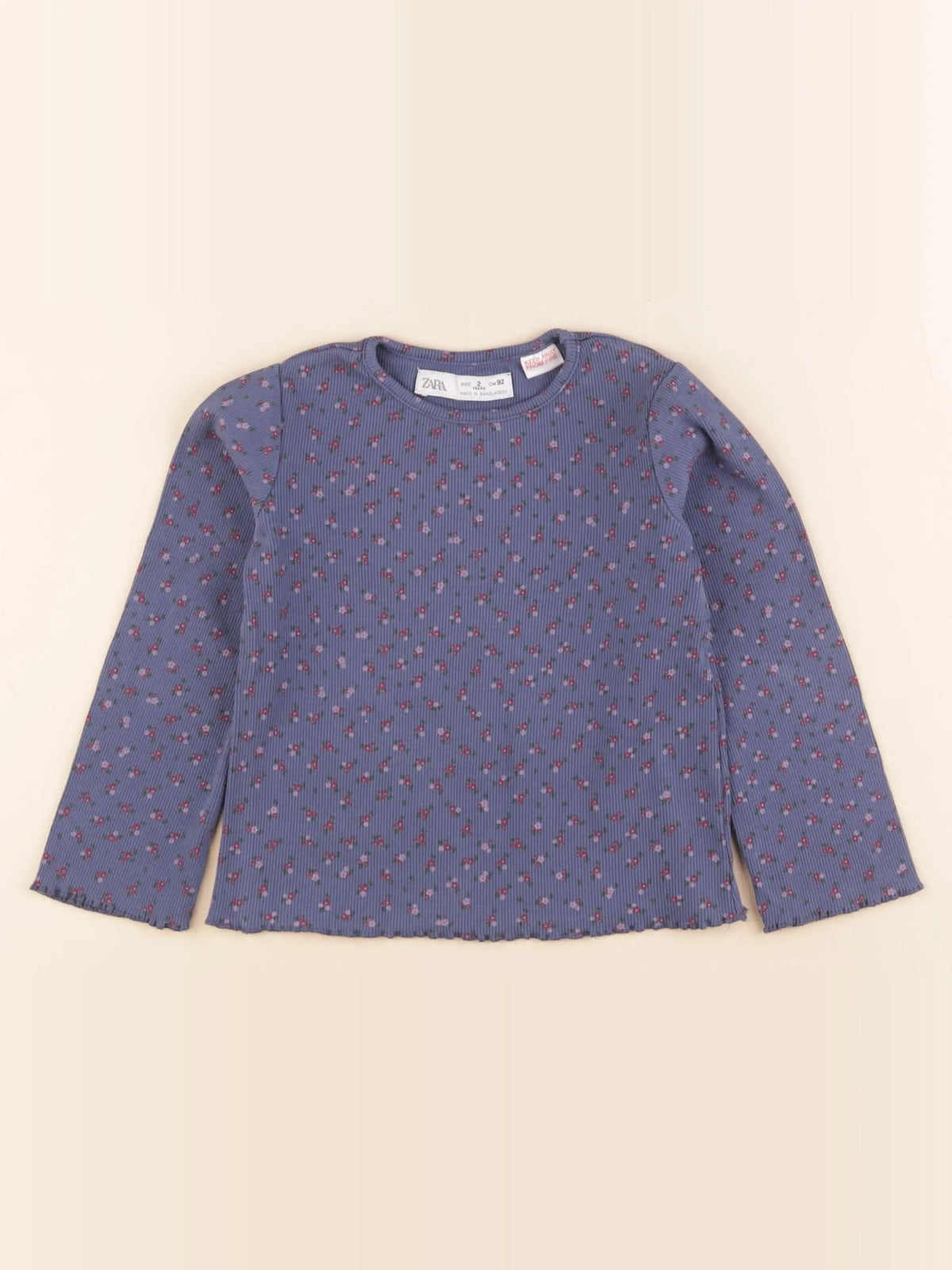 Zara - tee-shirt bleu - 2 ans