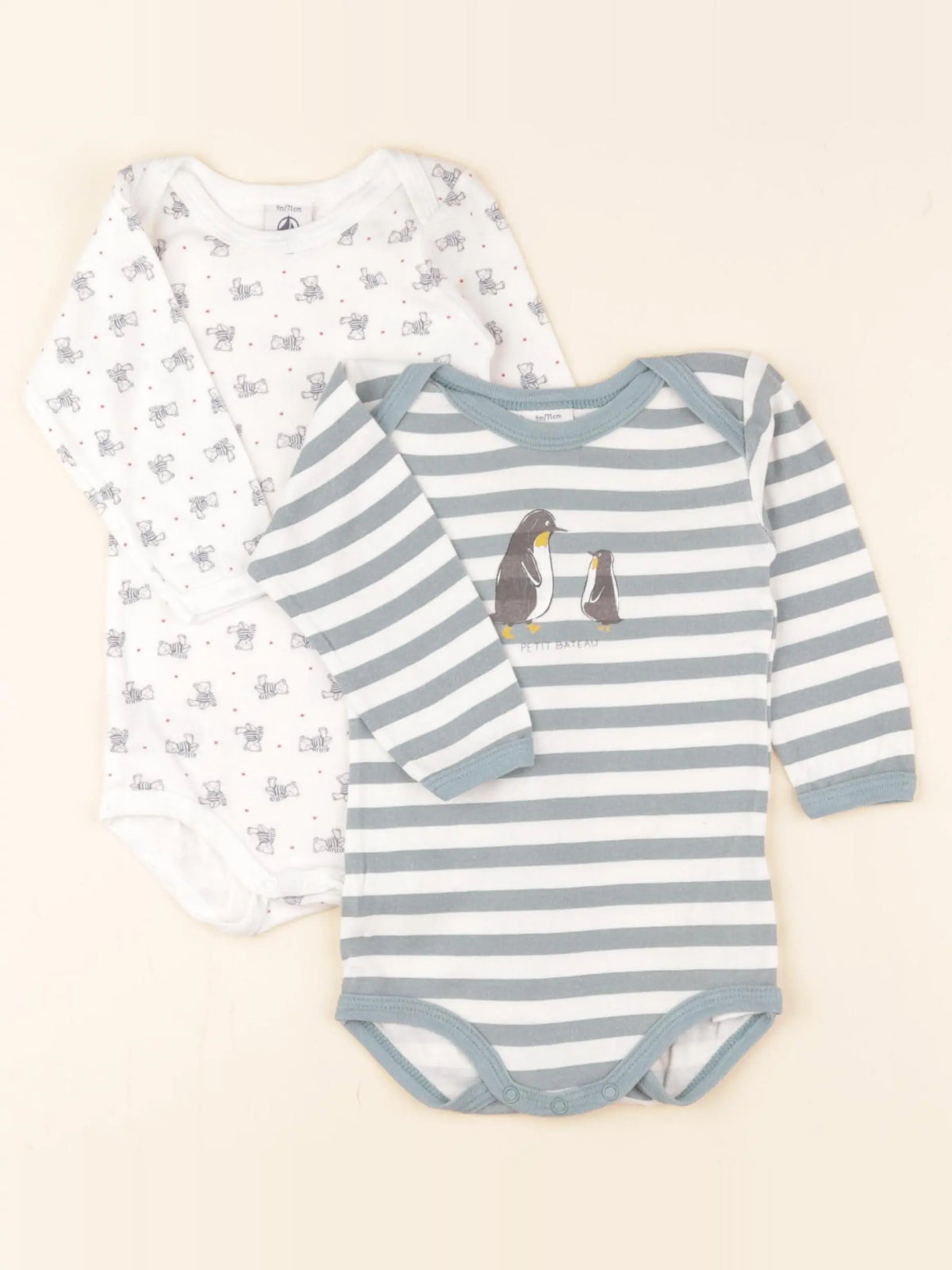 Petit Bateau - lot de 2 bodies en coton multicolore - 9 mois