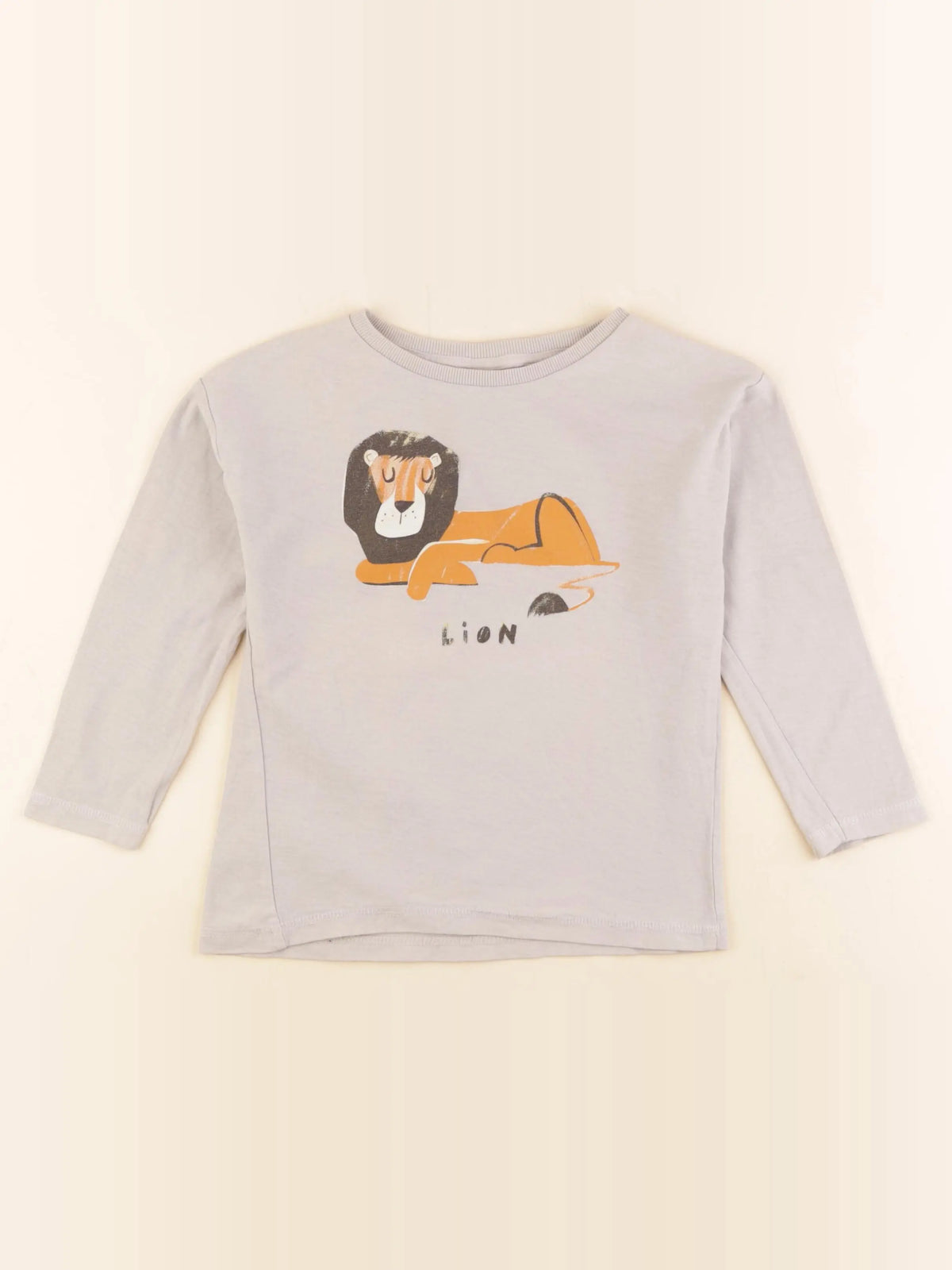 Zara - tee-shirt gris - 4/5 ans