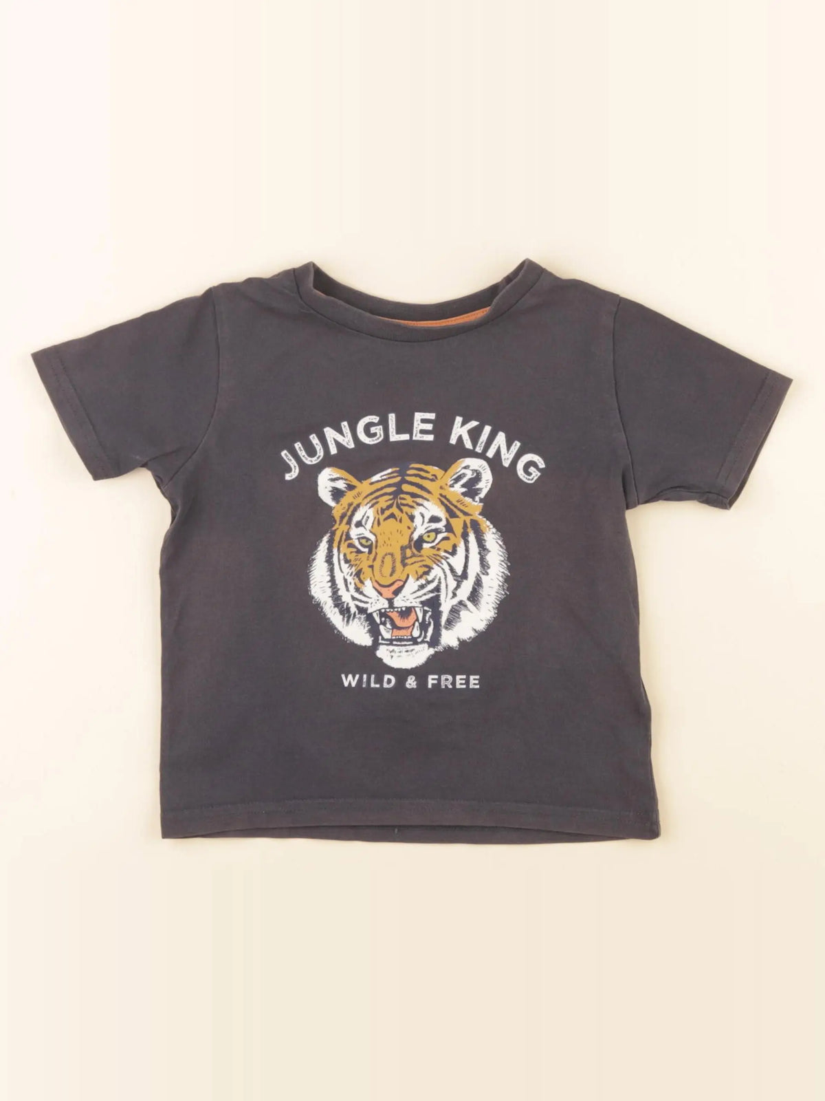 Vertbaudet - tee-shirt gris - 2 ans