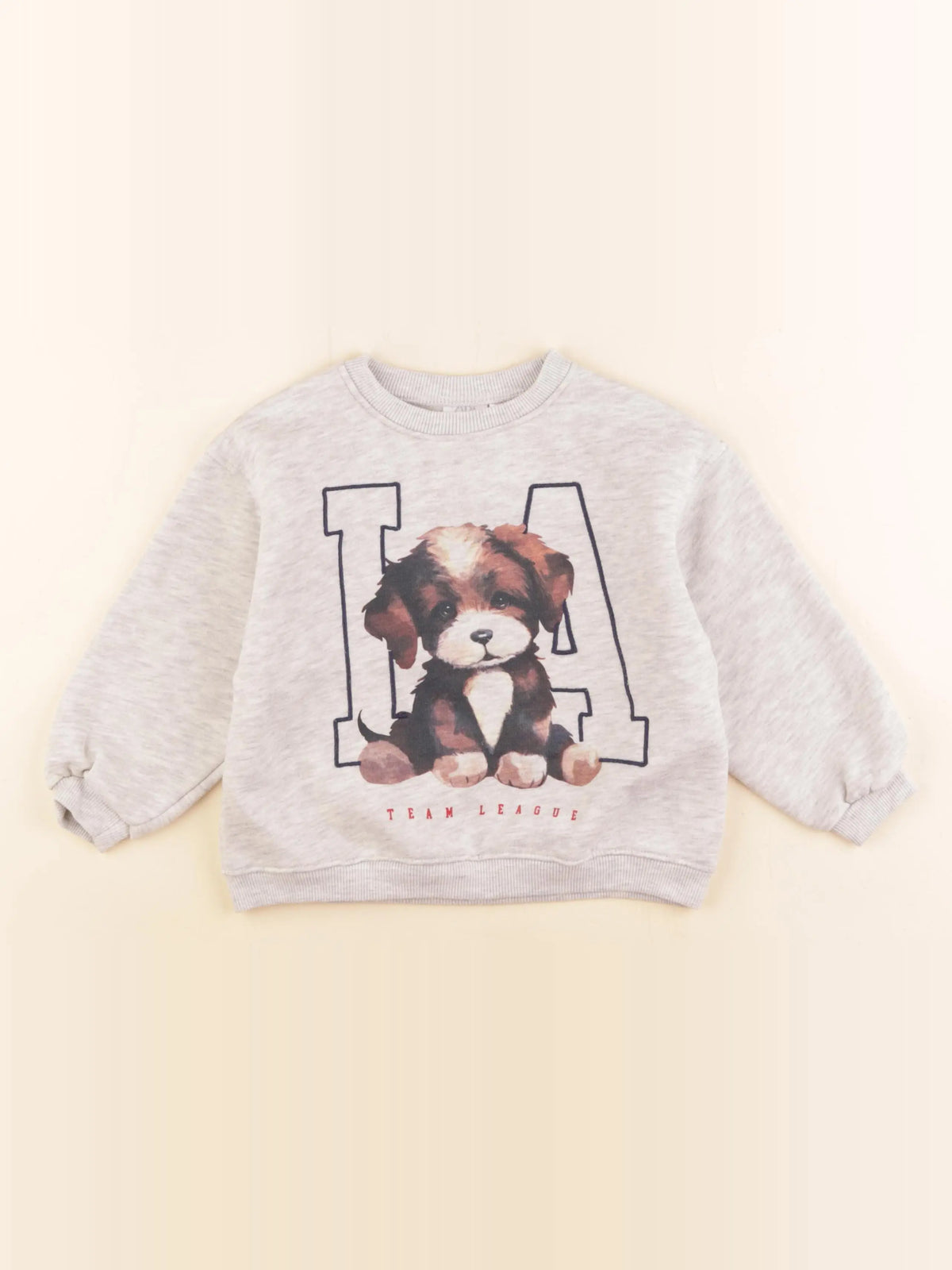 Zara - sweat gris - 2/3 ans