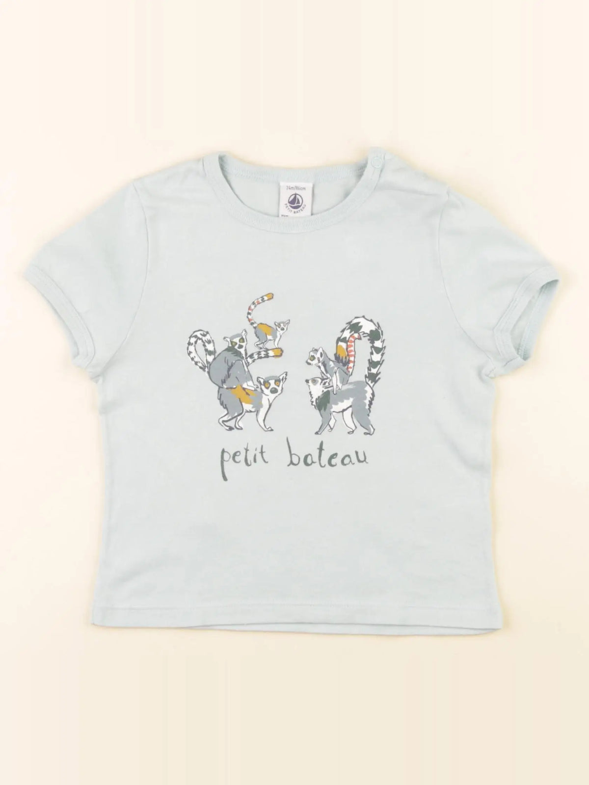 Petit Bateau - tee-shirt multicolore - 24 mois