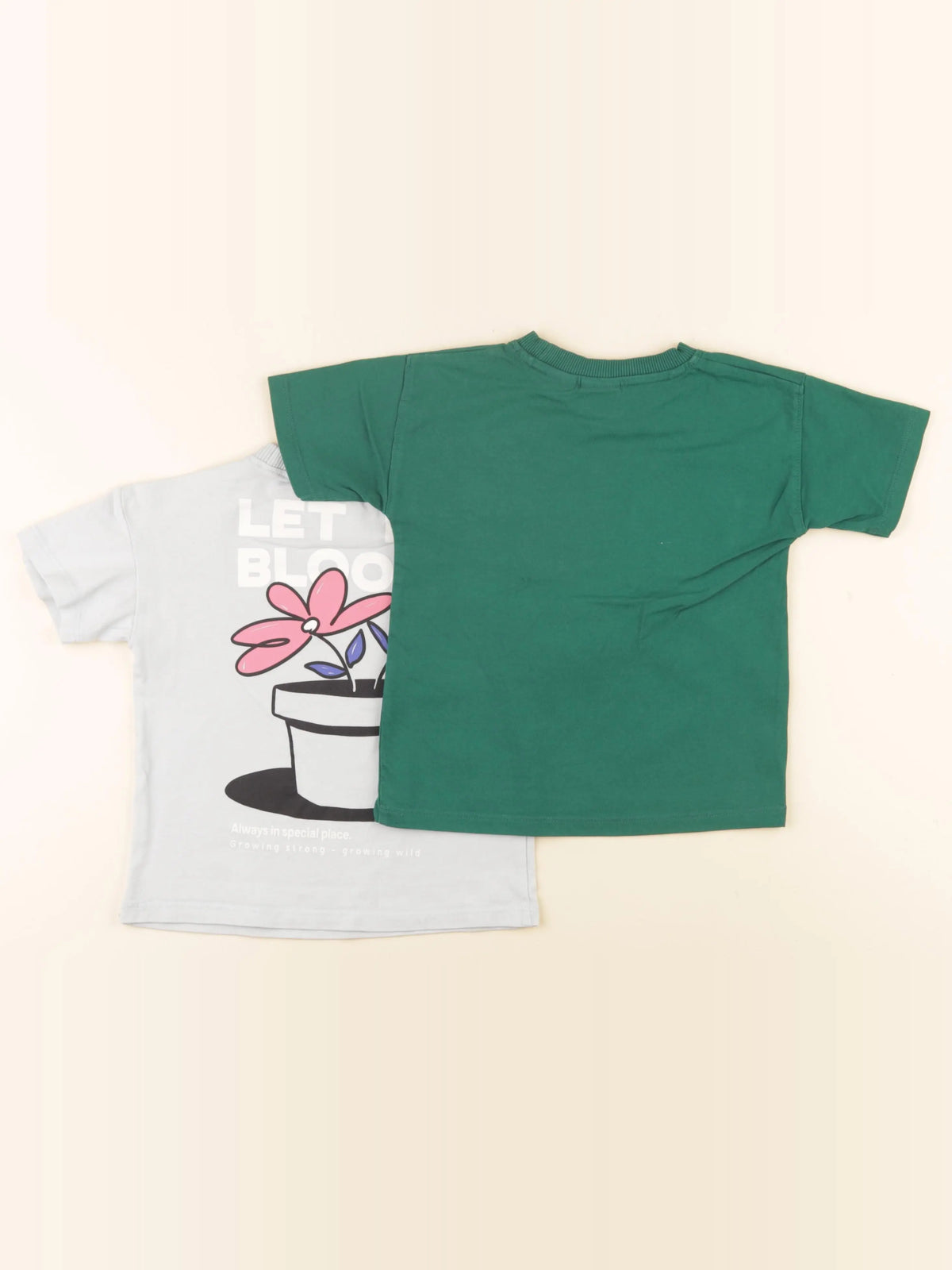 Zara - lot de 2 tee-shirts imprimé au dos bleu, vert - 2 ans