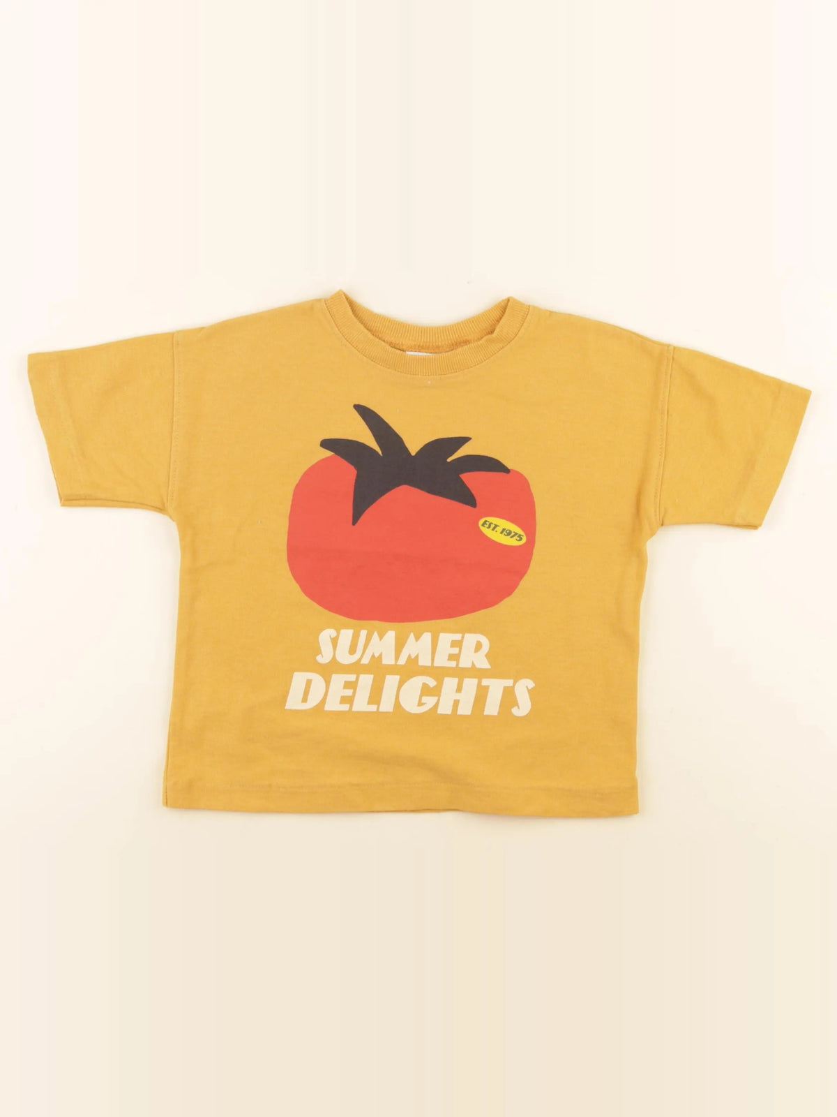 Zara - tee-shirt jaune - 2 ans