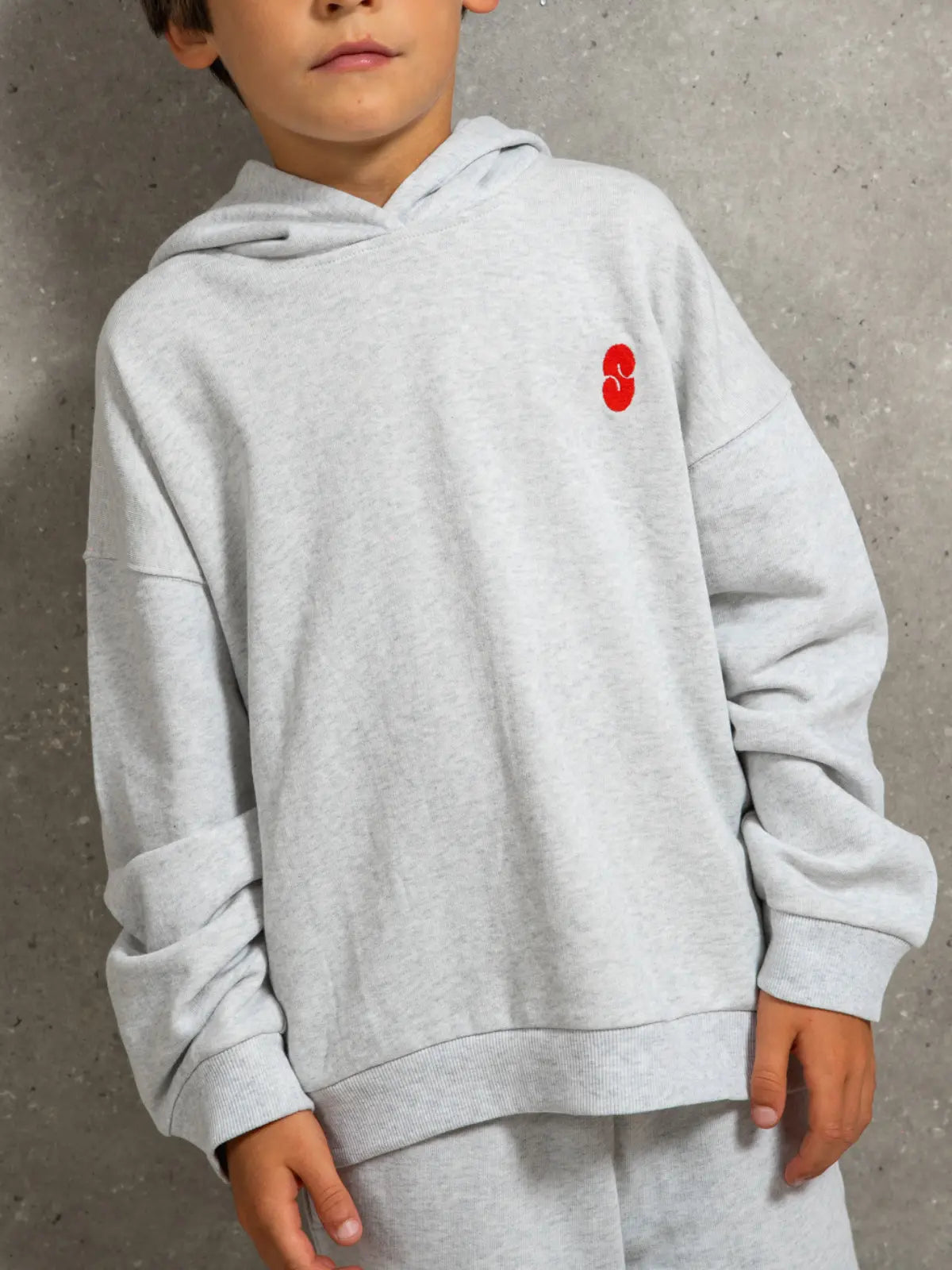 Le Sweat Capuche Gris chiné